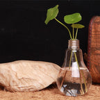 Vaso de Planta em Lâmpada Hidropônico Decorativo
